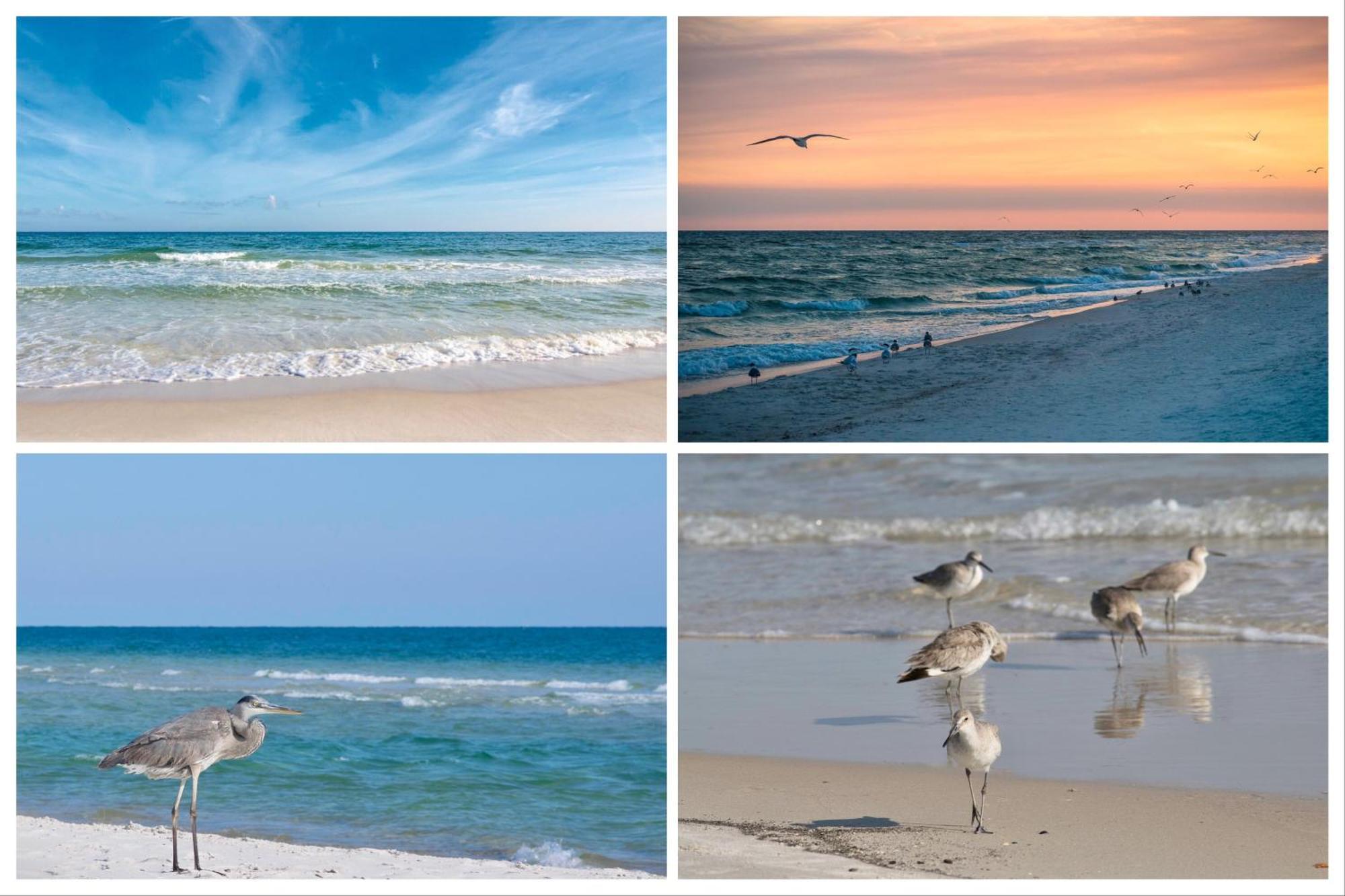 Island Winds East Unit 401 Vila Gulf Shores Quarto foto